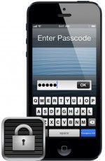 iphone_passcode_lock_icon