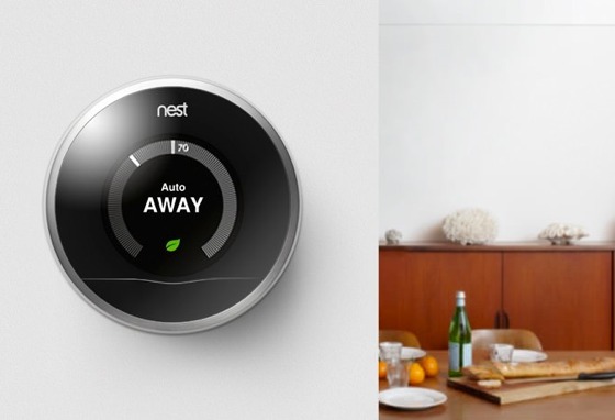 nest.jpg Nest