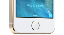 iPhonehomebutton.png iPhone 5s Home Button