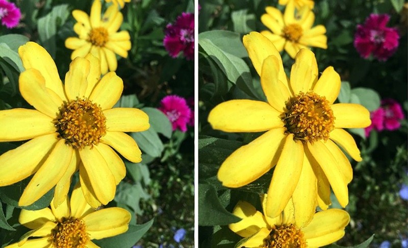 iphone6siphone6comparisonphotos