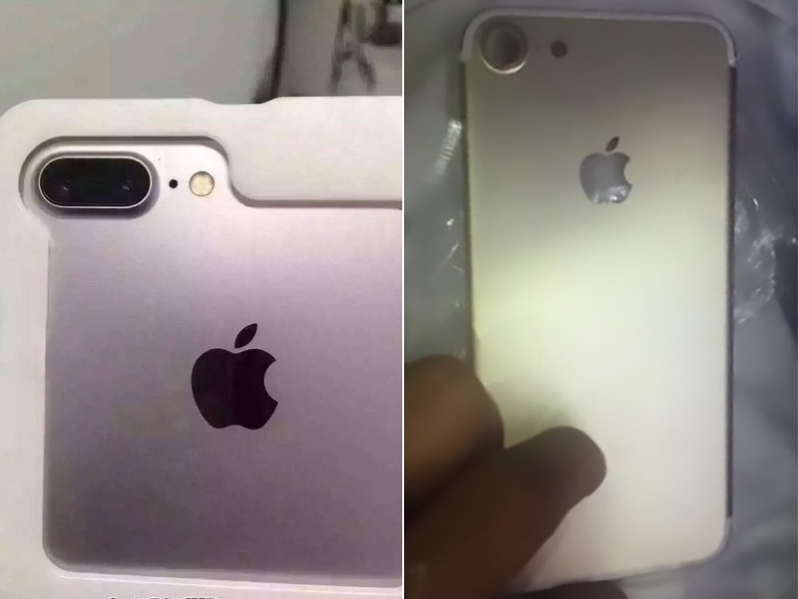 iphone77plusshell