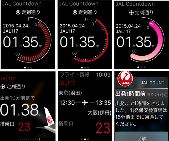 Japan Airlines Apple Watch