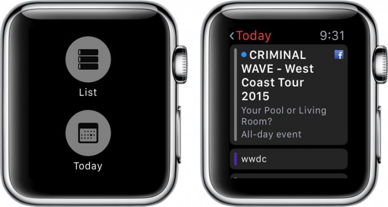 Apple Watch Calendar 3
