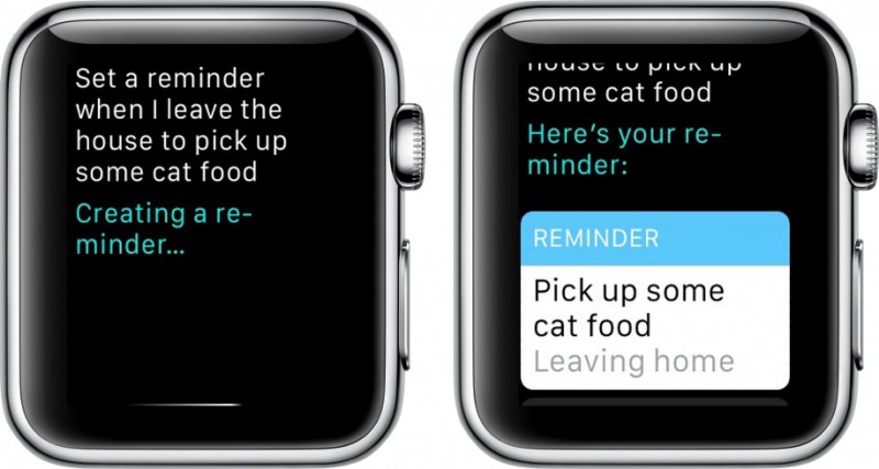 Apple Watch Calendar 5