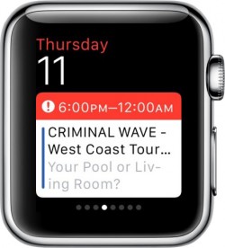 Apple Watch Calendar Glances
