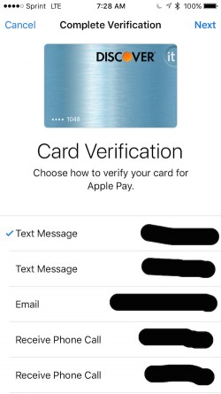 discover_apple_pay_verify" width="250" height="445" class="alignright size-medium wp-image-464943