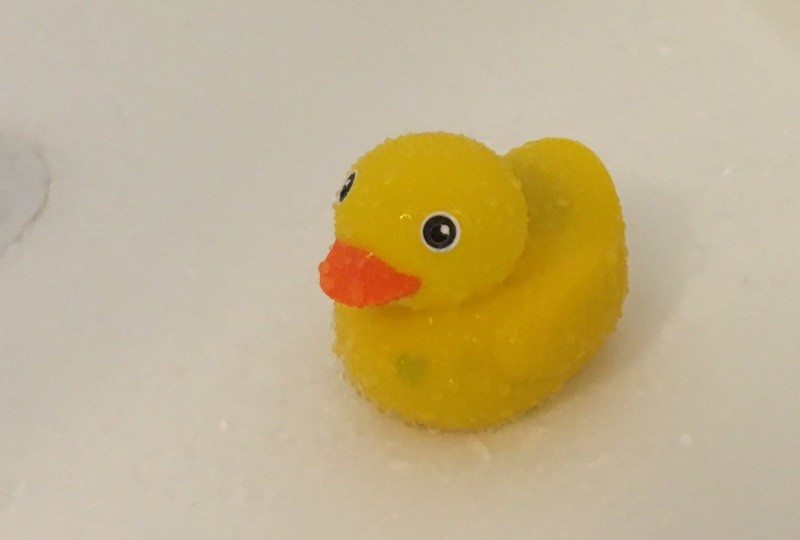 edwinshower