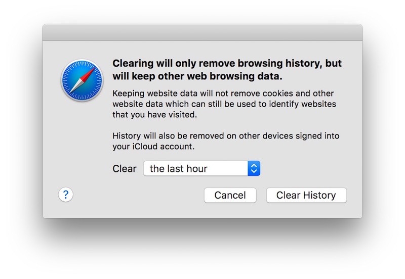 Safari Clear History