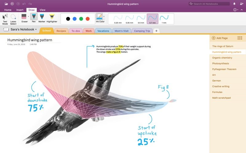 how to use onenote 2017