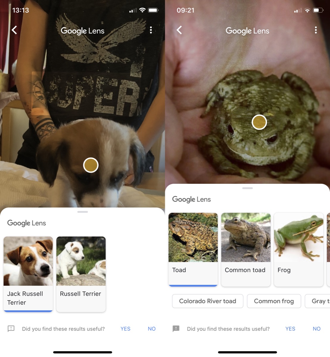 How To Use Google Lens On A Photo