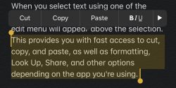 text
