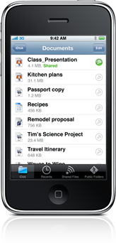 the Apple MobileMe iDisk forum