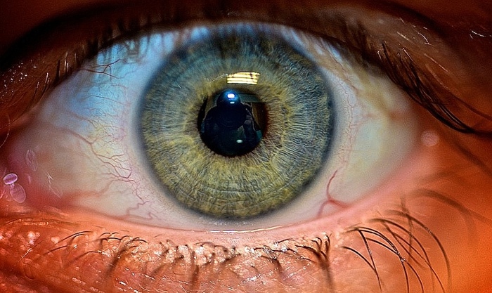 Iris Scanning: The Newest Addition to Apple's Biometric Roadmap