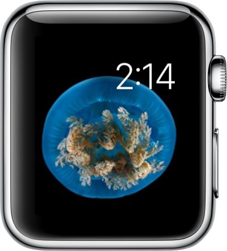 Watch Face on Apple Watch