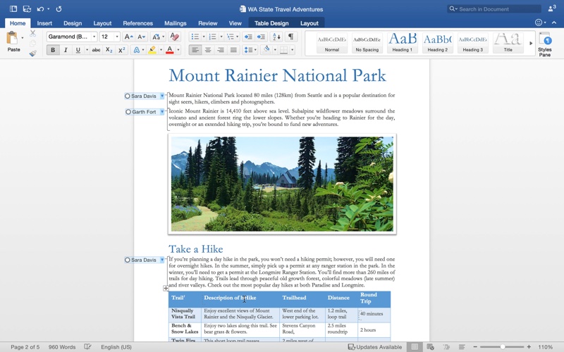 microsoft office word for mac