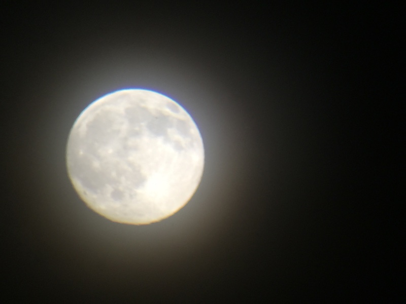 moonshot