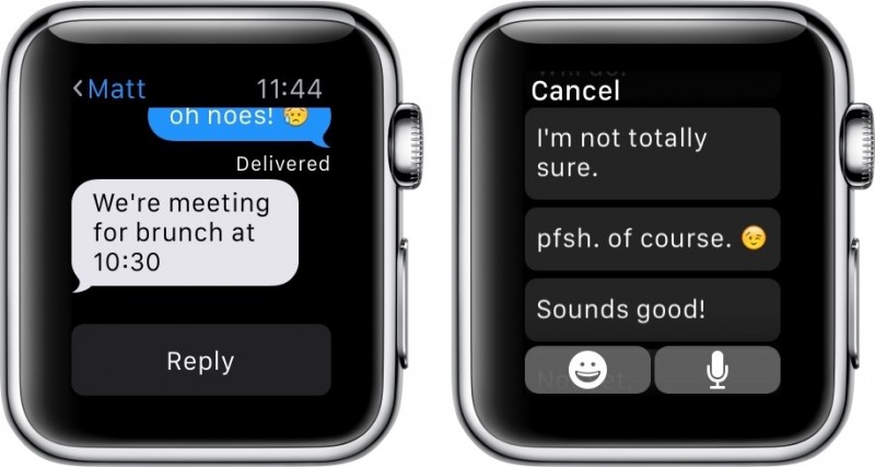 How to Customize Default Replies on Apple Watch - Mac Rumors