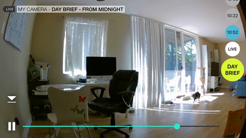 daybrief