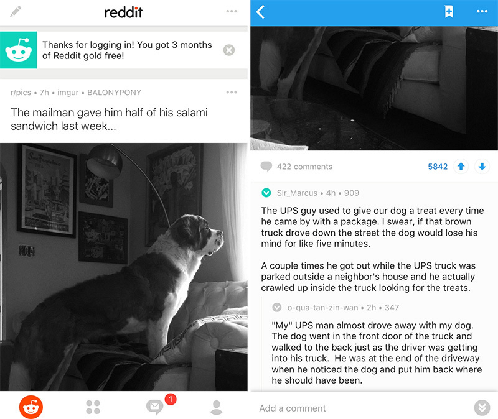 Reddit Launches Official iOS App With Free Gold for Early ...