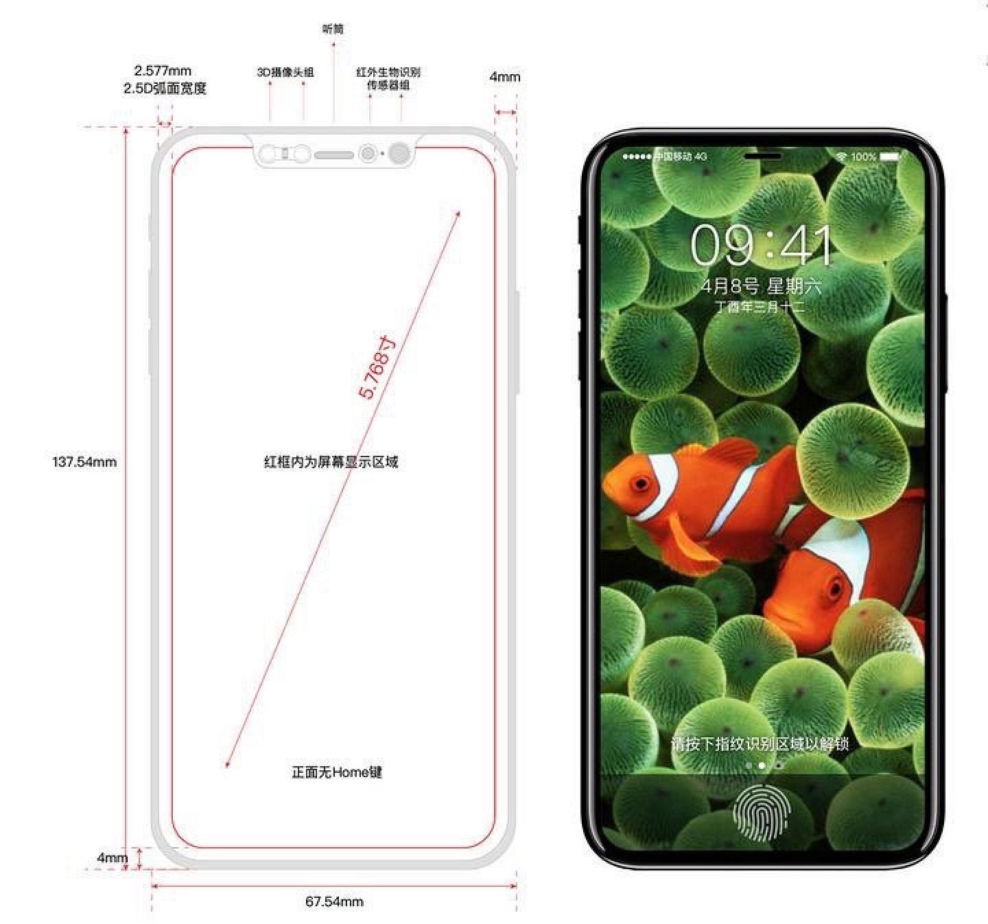iPhone 8 dimensions