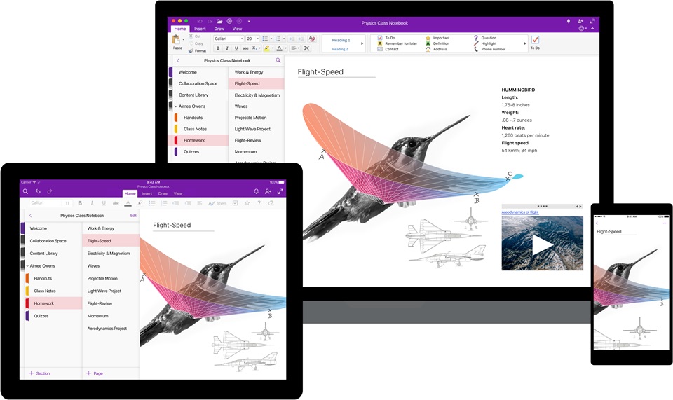 microsoft onenote versions