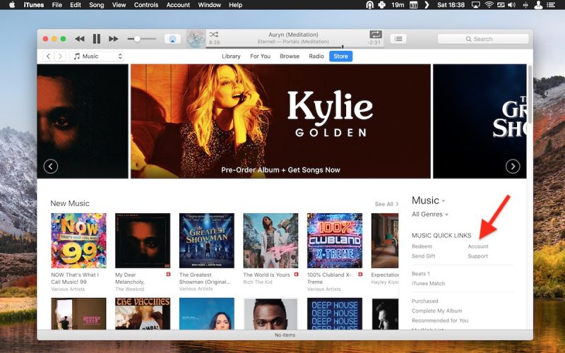 how to cancel app subscriptions on itunes