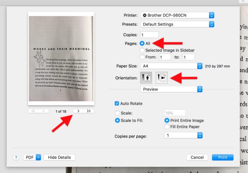 pdf into image