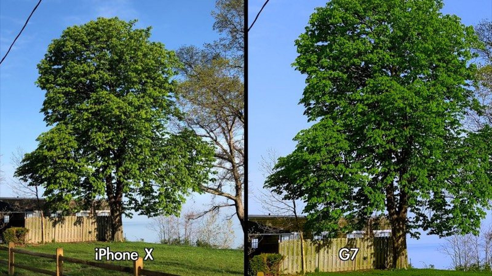 photo of iPhone X Camera Compared to LG G7 ThinQ Camera image