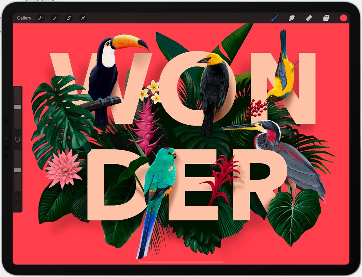 procreate app for mac