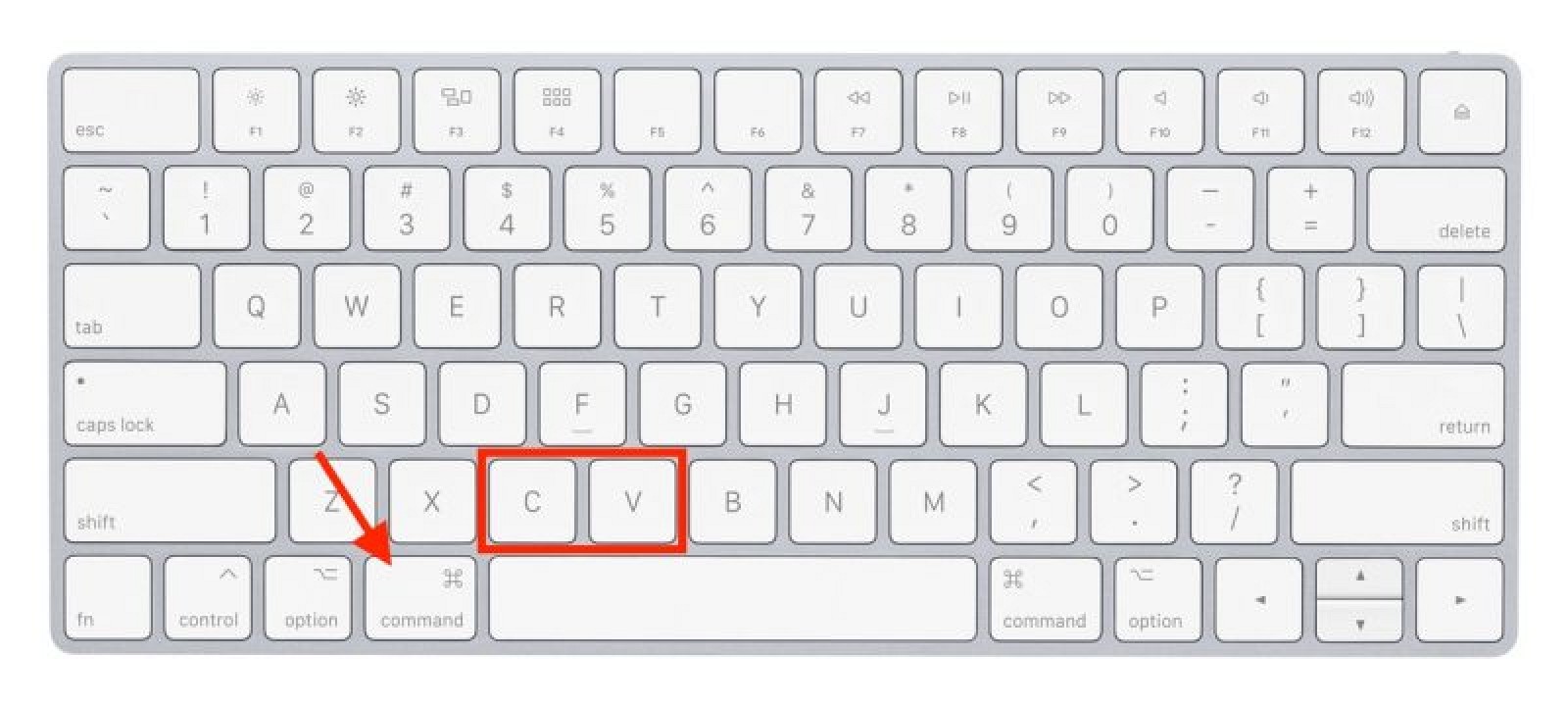How to Copy and Paste on a Mac MacRumors