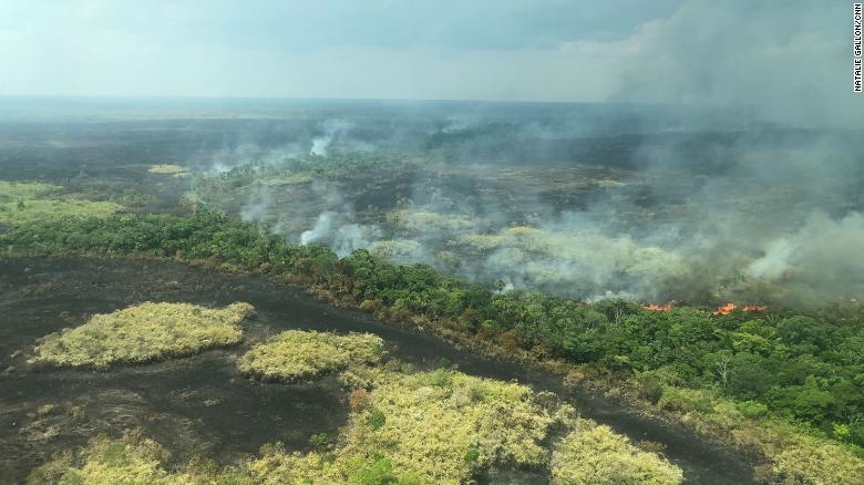 Apple Donating Money to Preserve Amazon Rainforests Following Devastating Fires