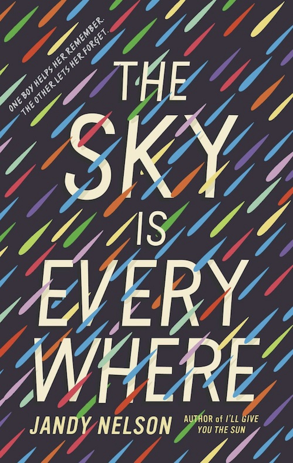 photo of Apple and A24 Partnering for Film Adaptation of Jandy Nelson's Young Adult Novel 'The Sky is Everywhere' image