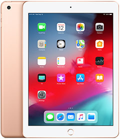 iPad